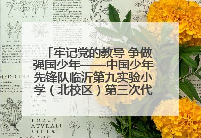 牢记党的教导 争做强国少年——中国少年先锋队临沂第九实验小学（北校区）第三次代表大会胜利召开