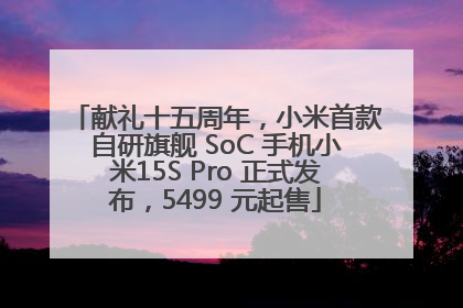 献礼十五周年，小米首款自研旗舰 SoC 手机小米15S Pro 正式发布，5499 元起售