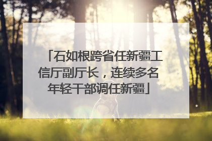 石如根跨省任新疆工信厅副厅长，连续多名年轻干部调任新疆