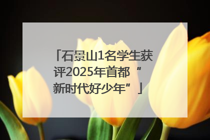 石景山1名学生获评2025年首都“新时代好少年”