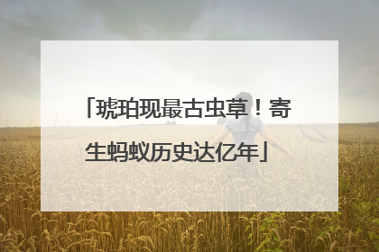 琥珀现最古虫草！寄生蚂蚁历史达亿年