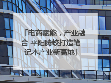 电商赋能，产业融合 平阳腾蛟打造笔记本产业新高地