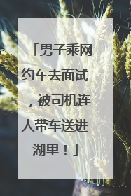 男子乘网约车去面试，被司机连人带车送进湖里！