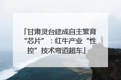 甘肃灵台建成自主繁育“芯片”：红牛产业“性控”技术弯道超车