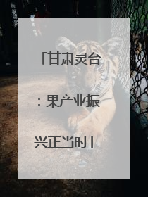 甘肃灵台：果产业振兴正当时