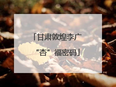 甘肃敦煌李广“杏”福密码