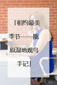 相约最美季节——陇原湿地观鸟手记