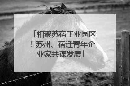 相聚苏宿工业园区！苏州、宿迁青年企业家共谋发展