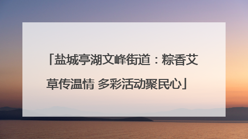 盐城亭湖文峰街道：粽香艾草传温情 多彩活动聚民心