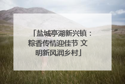 盐城亭湖新兴镇：粽香传情迎佳节 文明新风润乡村