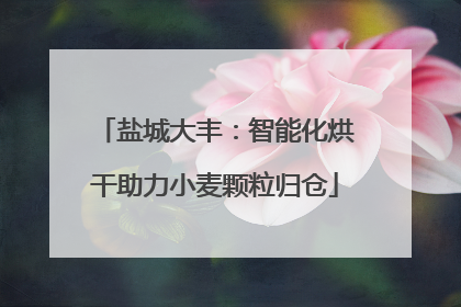 盐城大丰：智能化烘干助力小麦颗粒归仓