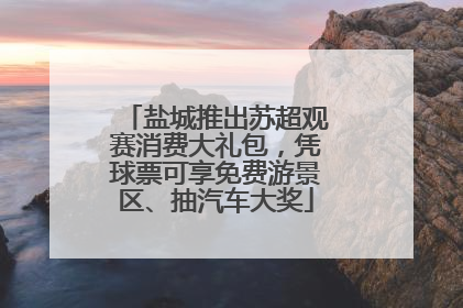 盐城推出苏超观赛消费大礼包，凭球票可享免费游景区、抽汽车大奖