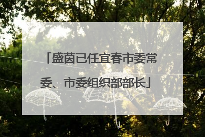 盛茵已任宜春市委常委、市委组织部部长