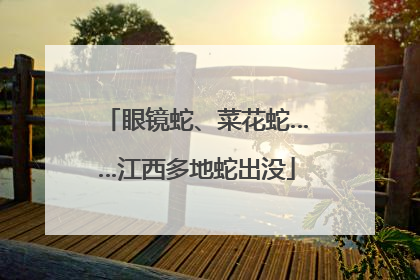 眼镜蛇、菜花蛇……江西多地蛇出没