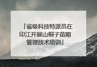 省级科技特派员在印江开展山桐子苗期管理技术培训