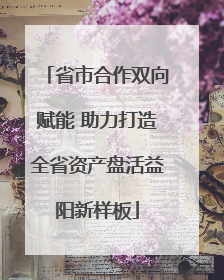 省市合作双向赋能 助力打造全省资产盘活益阳新样板