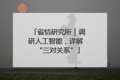 省情研究所｜调研人工智能，详解“三对关系”