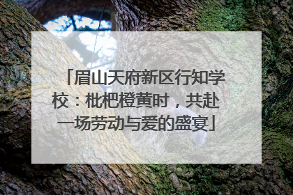 眉山天府新区行知学校：枇杷橙黄时，共赴一场劳动与爱的盛宴