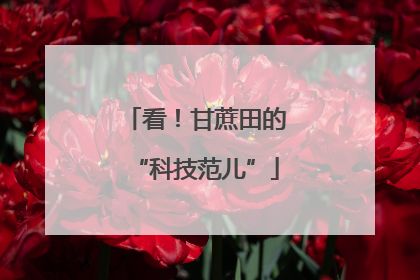 看！甘蔗田的“科技范儿”
