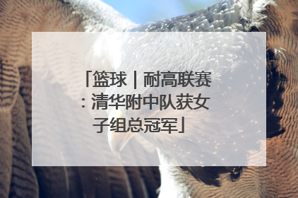 篮球｜耐高联赛：清华附中队获女子组总冠军