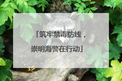筑牢禁毒防线，崇明海警在行动