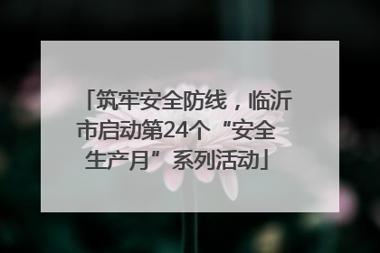 筑牢安全防线，临沂市启动第24个“安全生产月”系列活动