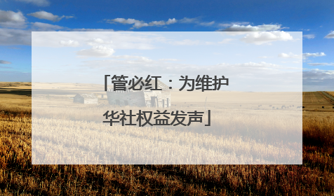 管必红：为维护华社权益发声