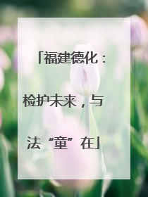 福建德化：检护未来，与法“童”在