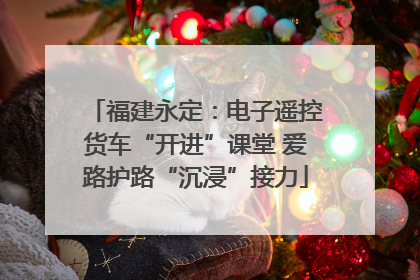 福建永定：电子遥控货车“开进”课堂 爱路护路“沉浸”接力