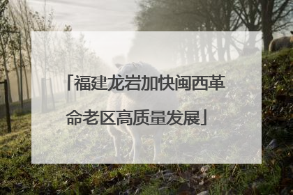 福建龙岩加快闽西革命老区高质量发展
