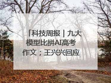 科技周报｜九大模型比拼AI高考作文；王兴兴回应机器人比赛价值