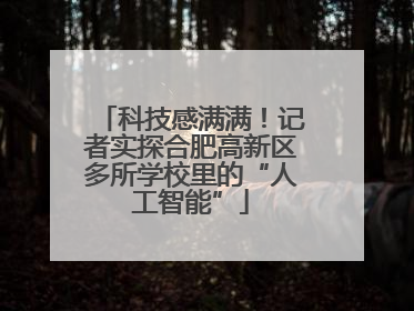 科技感满满！记者实探合肥高新区多所学校里的“人工智能”