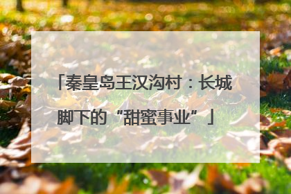 秦皇岛王汉沟村：长城脚下的“甜蜜事业”