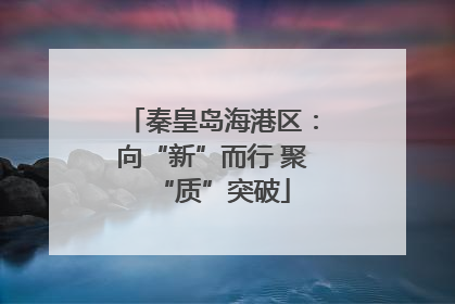 秦皇岛海港区：向“新”而行 聚“质”突破