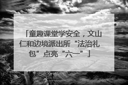 童趣课堂学安全，文山仁和边境派出所“法治礼包”点亮“六一”