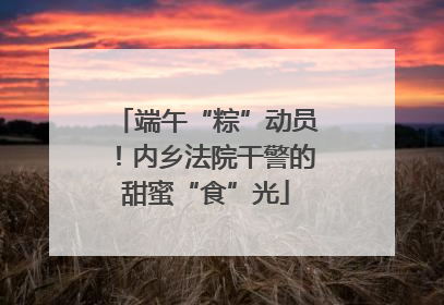 端午“粽”动员！内乡法院干警的甜蜜“食”光
