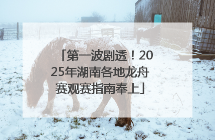 第一波剧透！2025年湖南各地龙舟赛观赛指南奉上