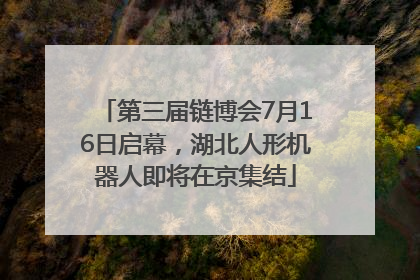 第三届链博会7月16日启幕，湖北人形机器人即将在京集结