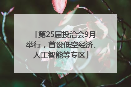 第25届投洽会9月举行，首设低空经济、人工智能等专区