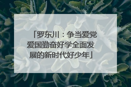 罗东川：争当爱党爱国勤奋好学全面发展的新时代好少年