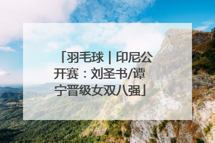 羽毛球｜印尼公开赛：刘圣书/谭宁晋级女双八强