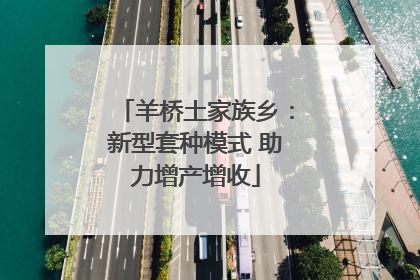 羊桥土家族乡：新型套种模式 助力增产增收