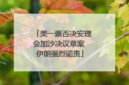 美一票否决安理会加沙决议草案 伊朗强烈谴责