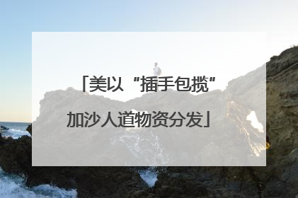 美以“插手包揽”加沙人道物资分发