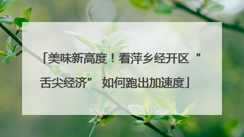 美味新高度！看萍乡经开区“舌尖经济” 如何跑出加速度