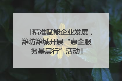精准赋能企业发展，潍坊潍城开展“惠企服务基层行”活动