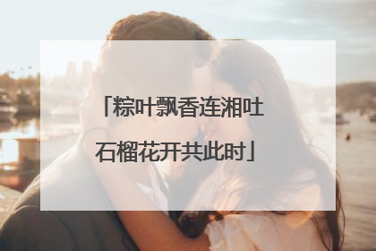 粽叶飘香连湘吐 石榴花开共此时