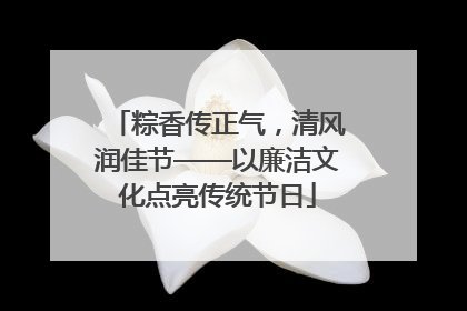 粽香传正气，清风润佳节——以廉洁文化点亮传统节日