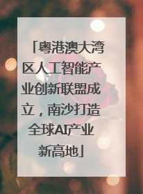 粤港澳大湾区人工智能产业创新联盟成立，南沙打造全球AI产业新高地
