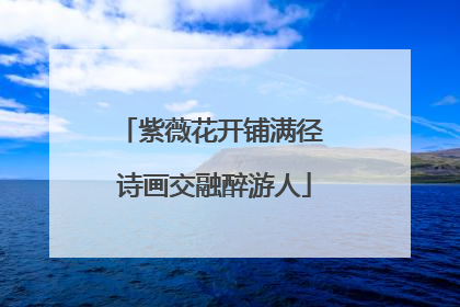 紫薇花开铺满径 诗画交融醉游人
